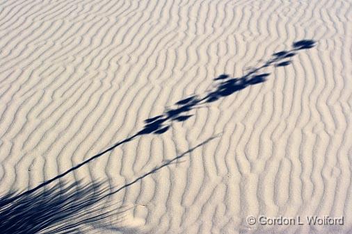 White Sands_32195.jpg - Photographed at the White Sands National Monument near Alamogordo, New Mexico, USA.